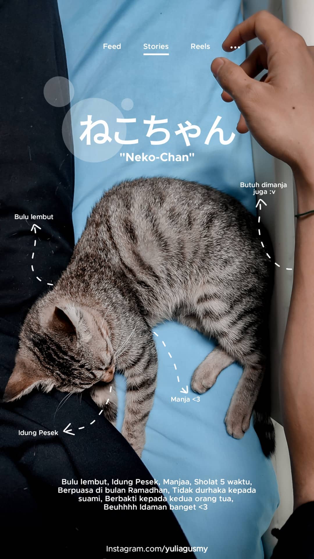 Typography Project 13